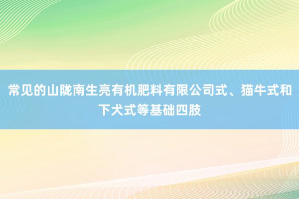 常见的山陇南生亮有机肥料有限公司式、猫牛式和下犬式等基础四肢