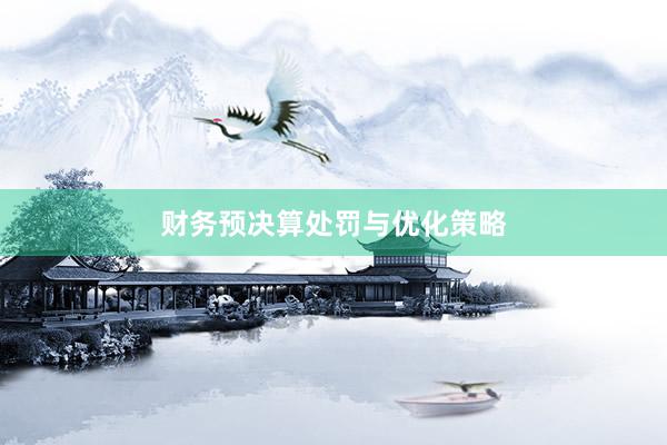 财务预决算处罚与优化策略